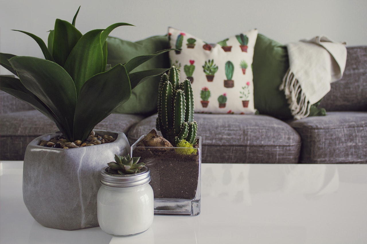 Home Goods