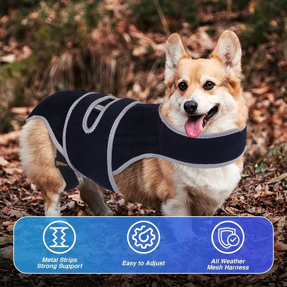 Small Dog IVDD Support Harness for Spinal Comfort and Stability, Ideal for Dachshund Recovery
