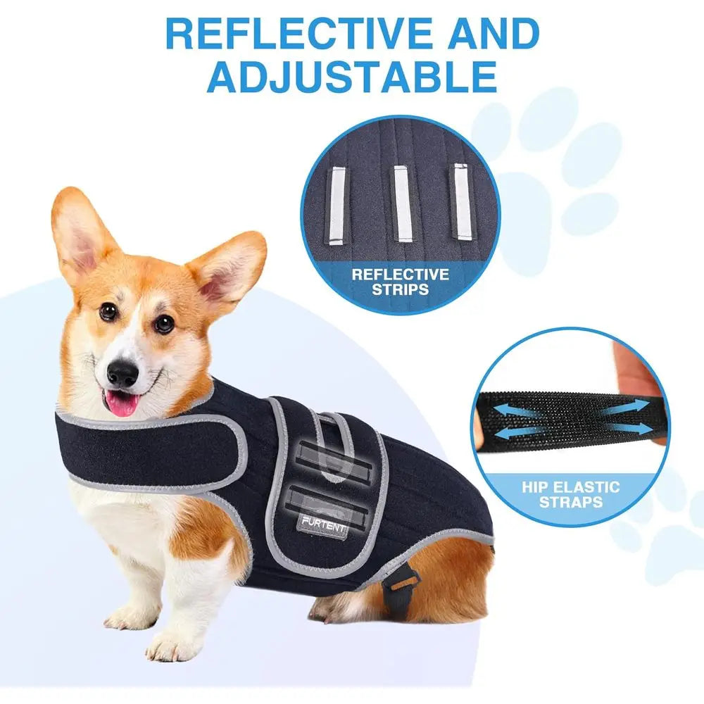 Small Dog IVDD Support Harness for Spinal Comfort and Stability, Ideal for Dachshund Recovery
