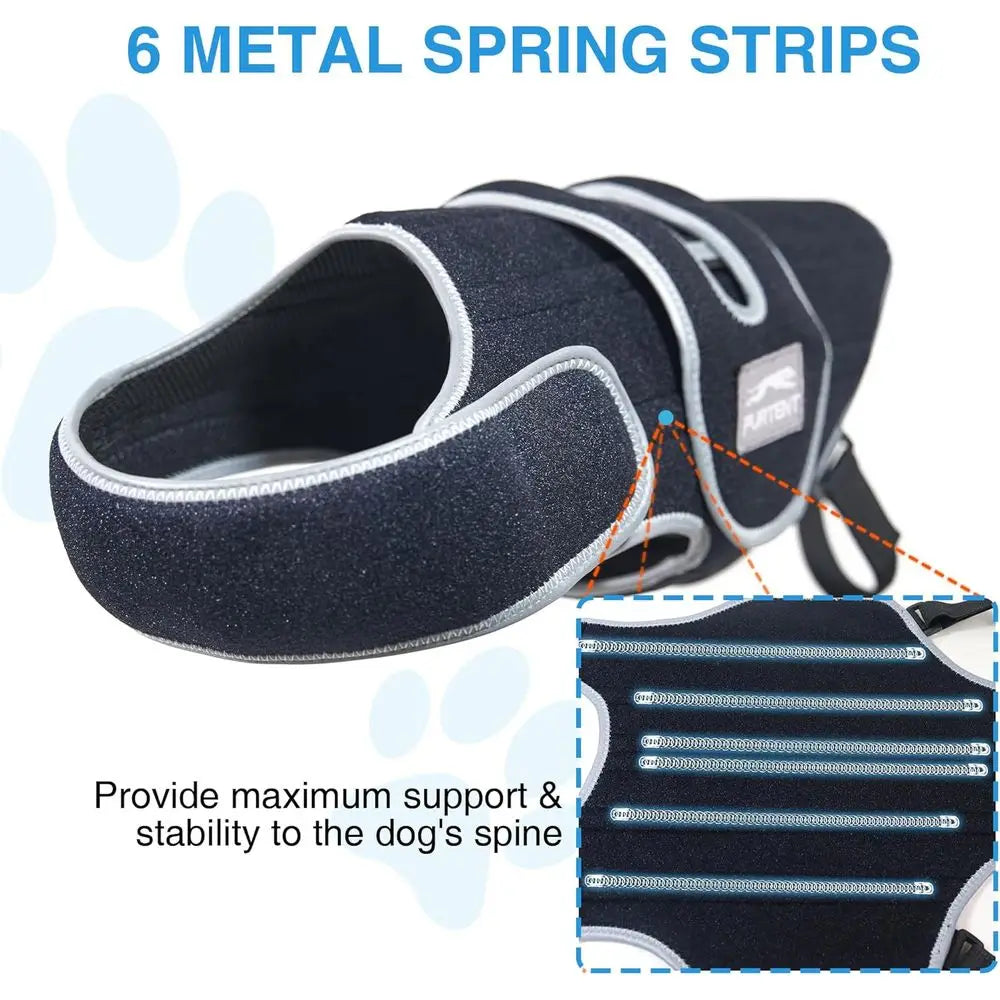 Small Dog IVDD Support Harness for Spinal Comfort and Stability, Ideal for Dachshund Recovery